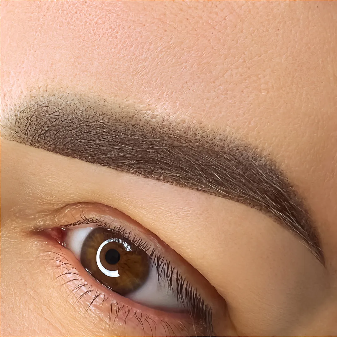 Brown eye with ombre brows expertly styled by Sweet Chanice for a polished and defined look.